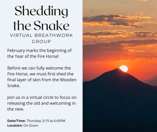 Virtual Breathwork Group-Shedding The Snake (2/19/2026 at 6:45 PM CT)